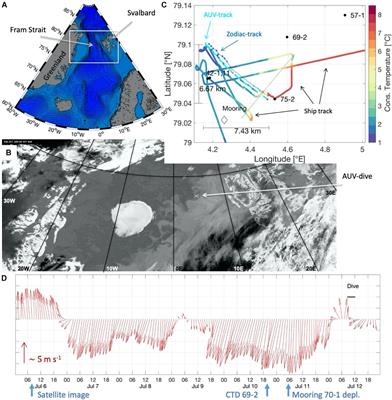 Substantial Sub-Surface Chlorophyll Patch Sustained by Vertical Nutrient Fluxes in Fram Strait Observed With an Autonomous Underwater Vehicle